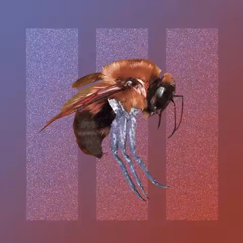 Crabbee