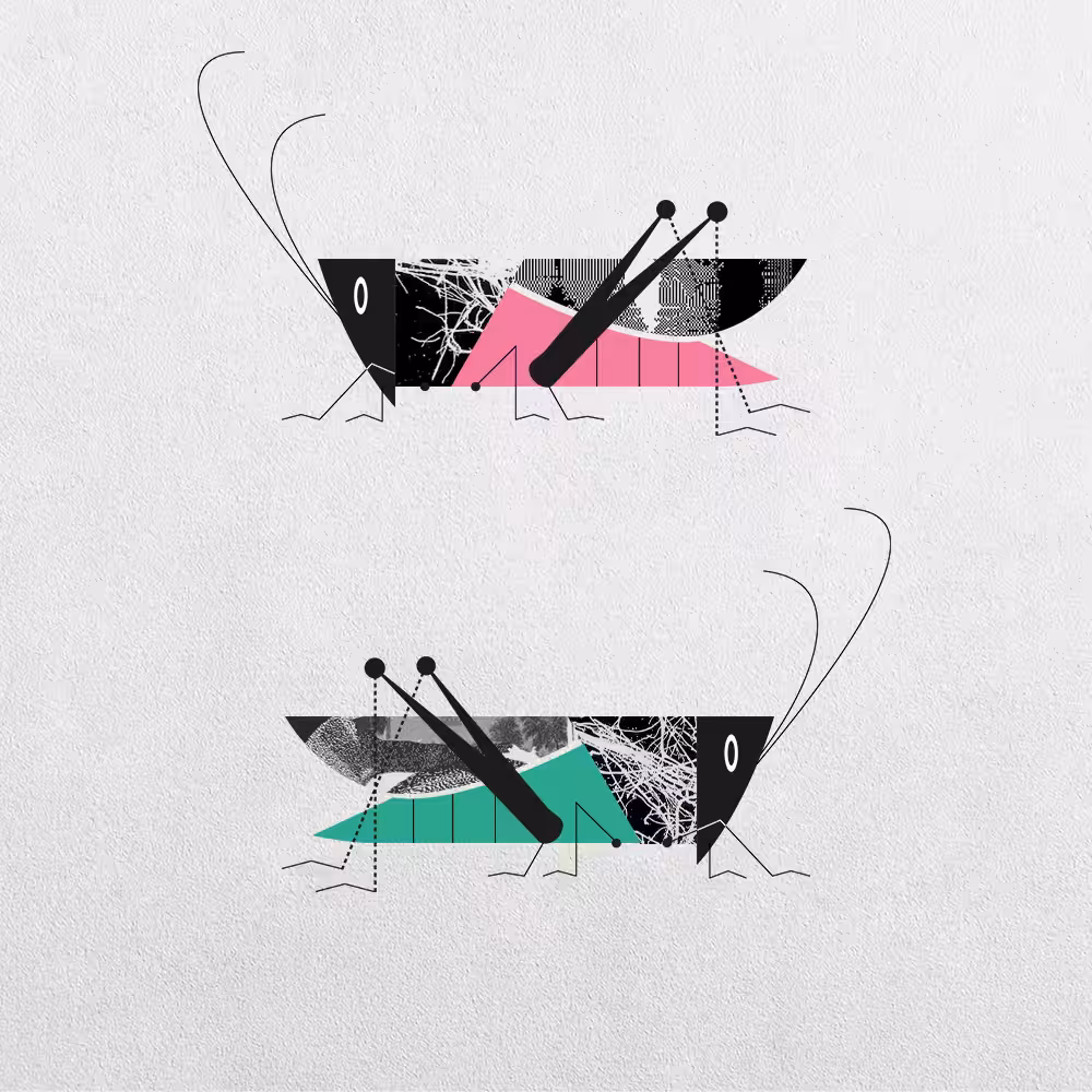 Grasshopper Abstraction #25