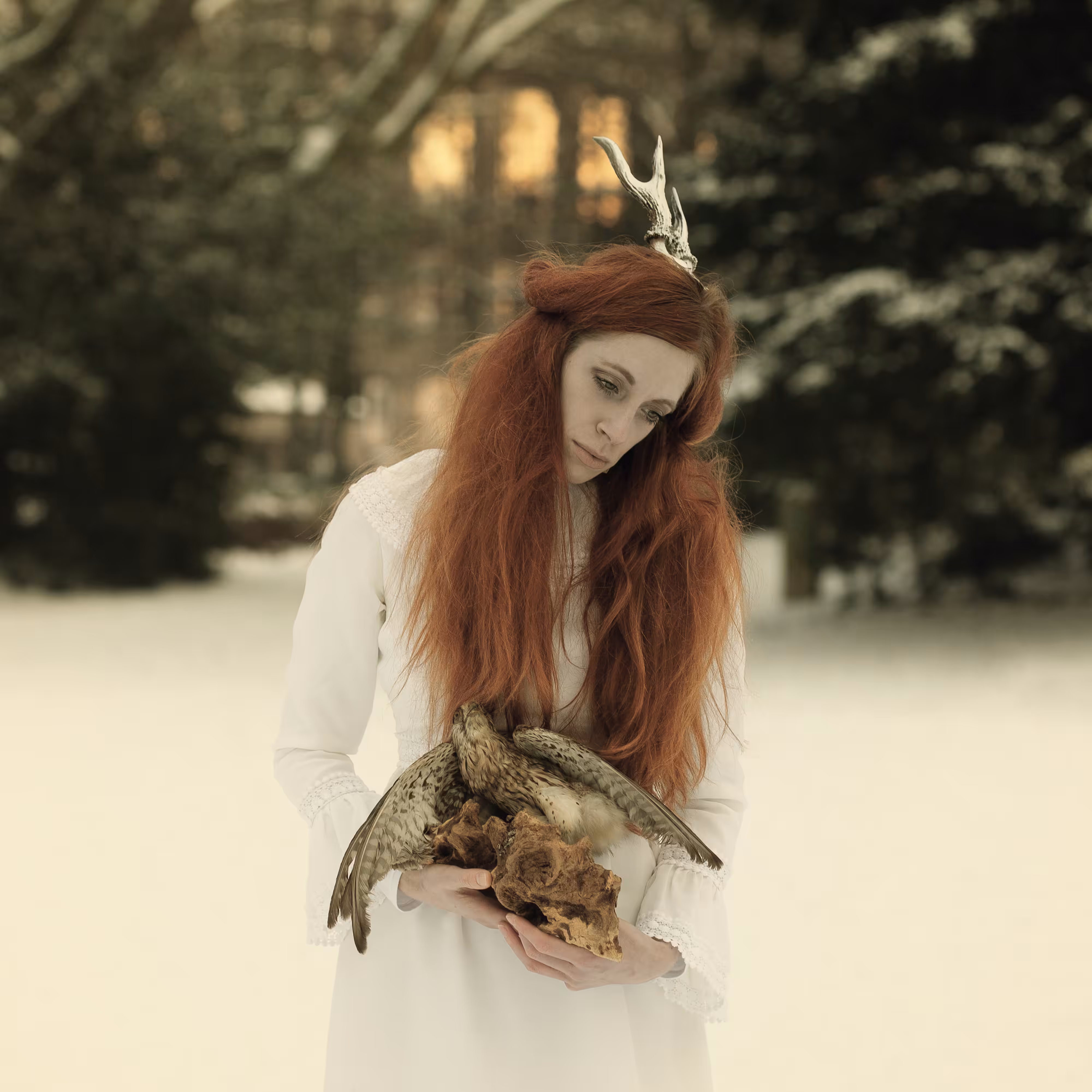 Winter Fairy Tale
