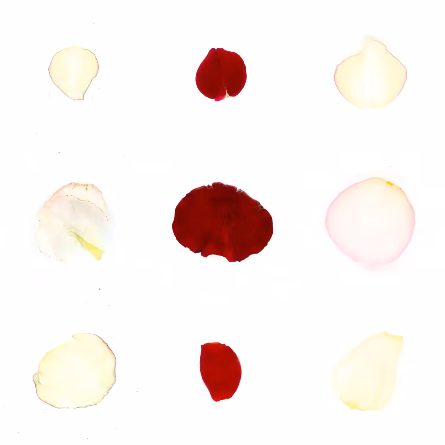Infinite Petals 3x3#3134