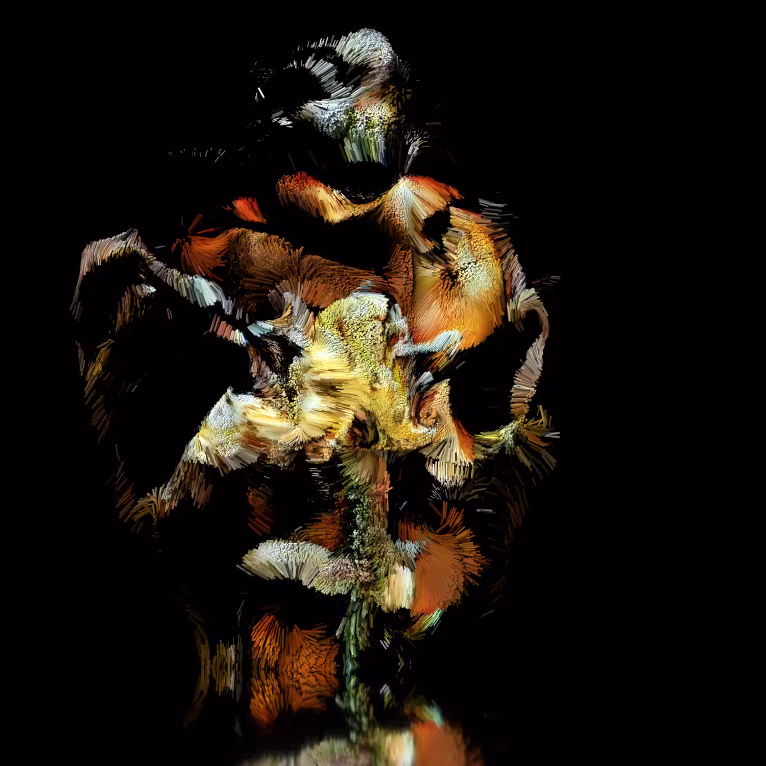 Pulchra II