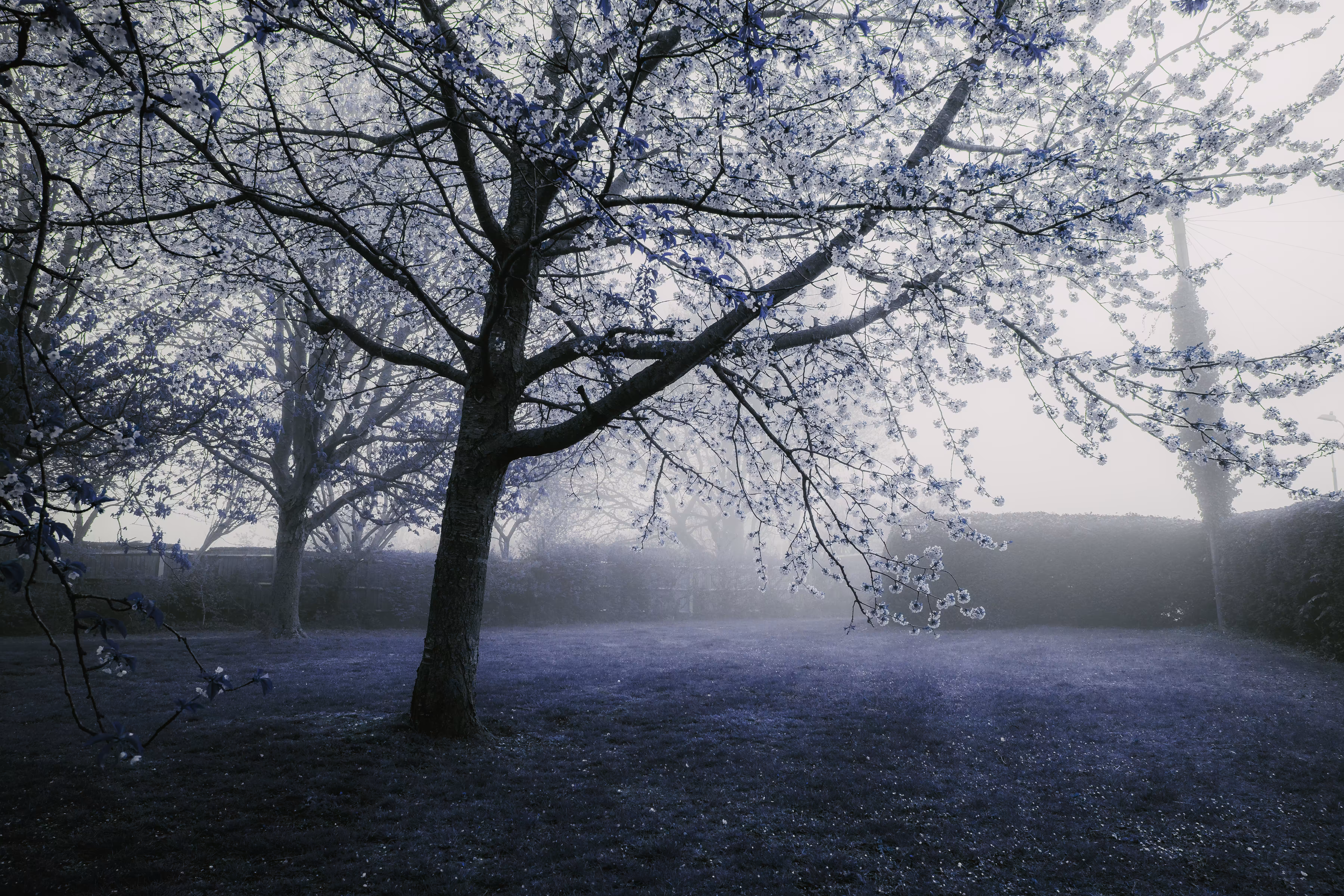 Feeling Blue