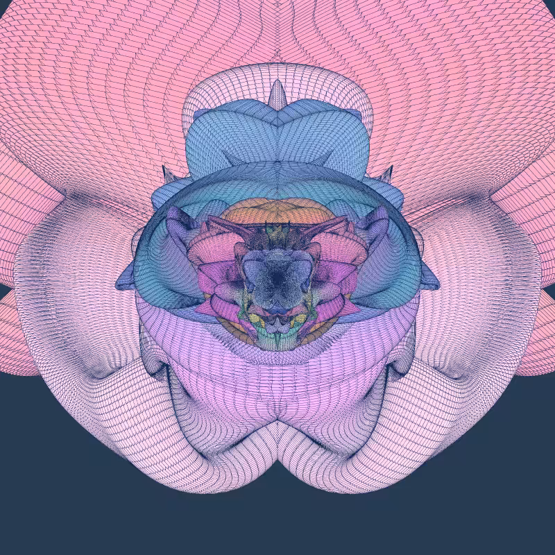 Zaratan #339