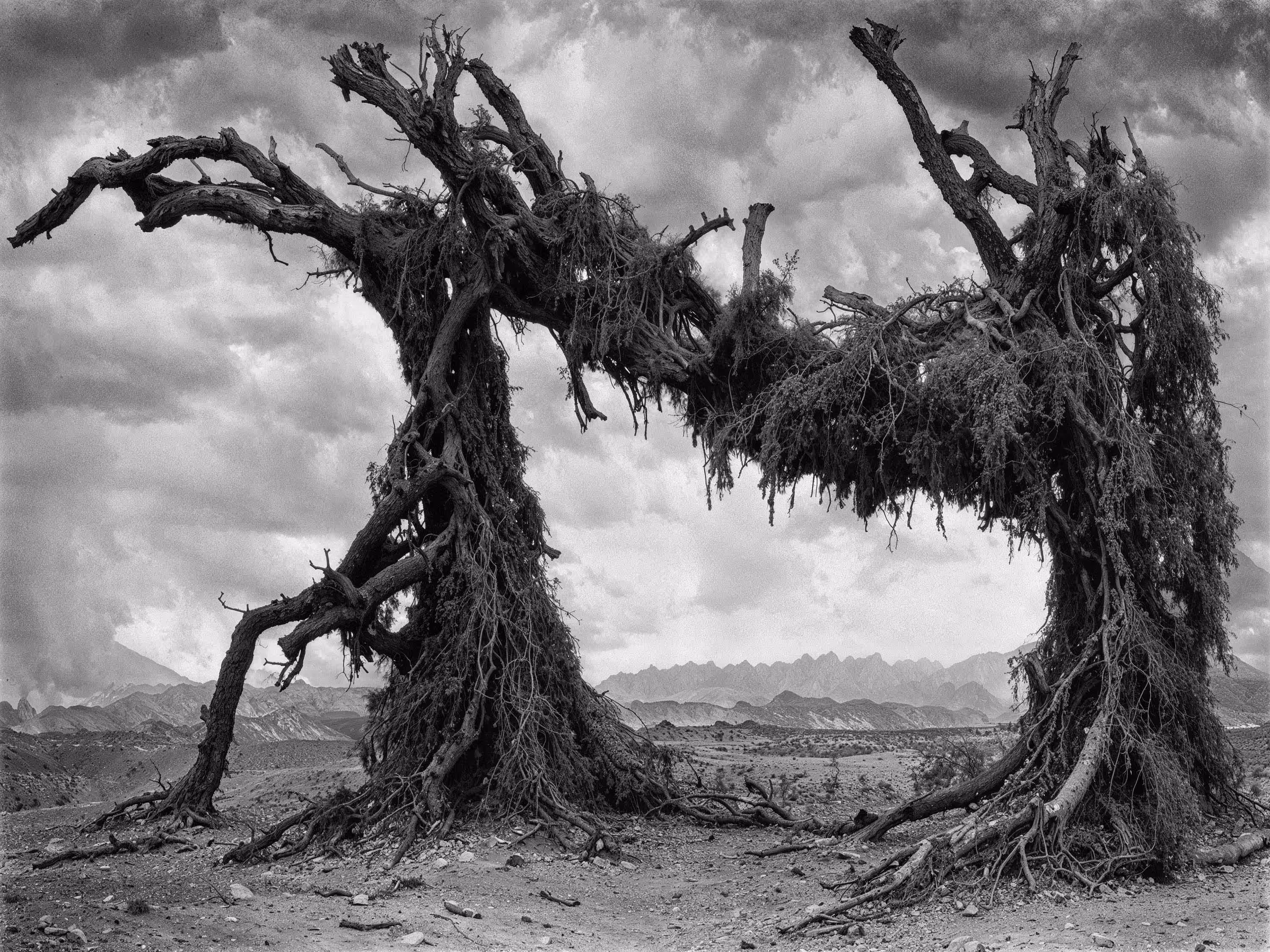 Post Photographic Perspectives: Taming the Machine: Iñigo Bilbao - The Dead Valley #011