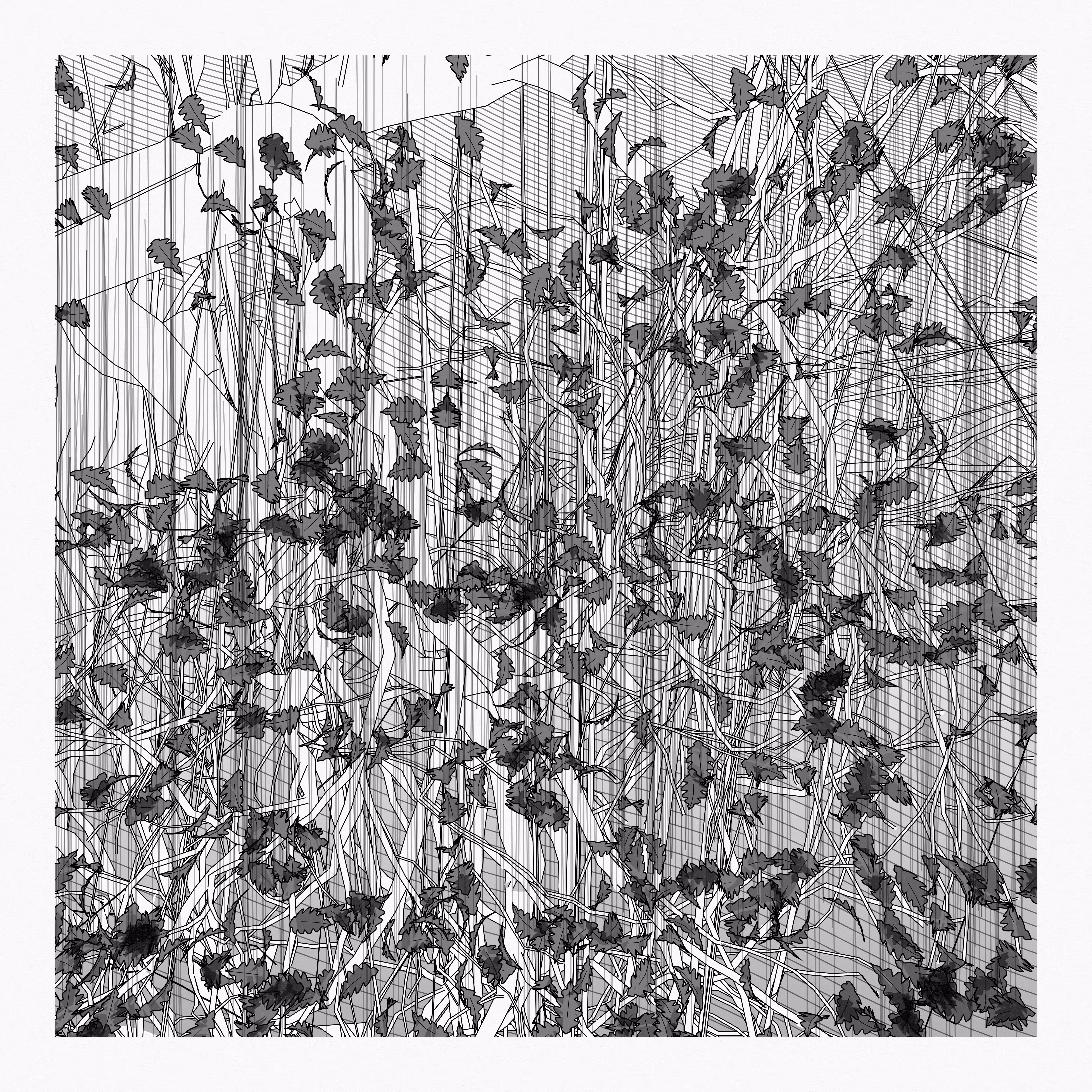 A Bugged Forest #618