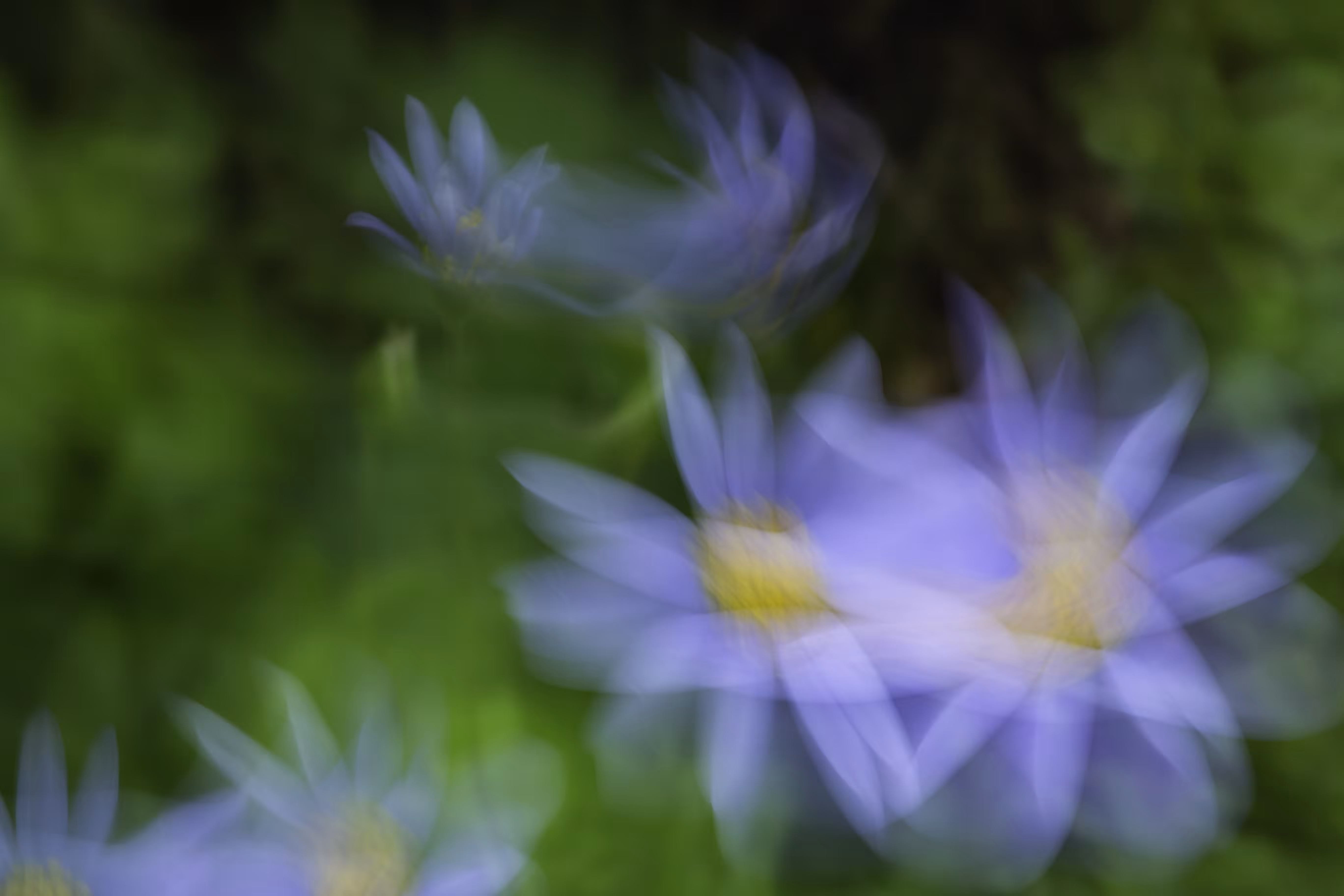 Scattered Light