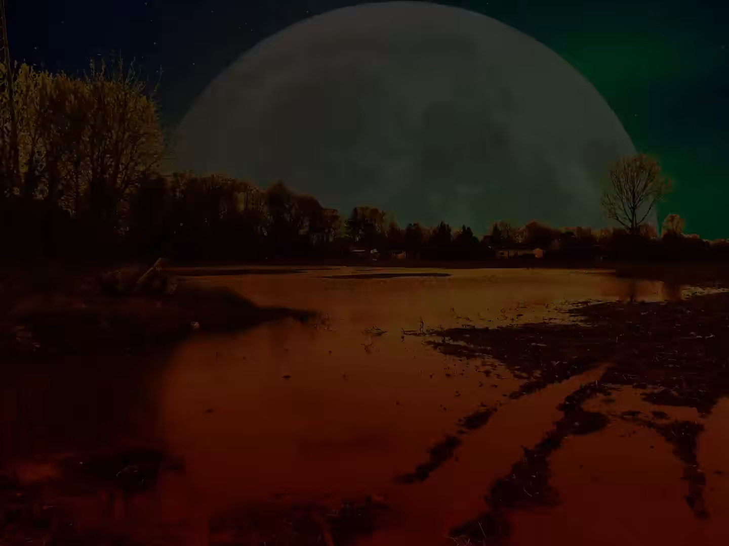 Spirits Of Guiness Swamp