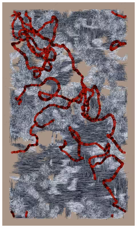 Bedlam #63