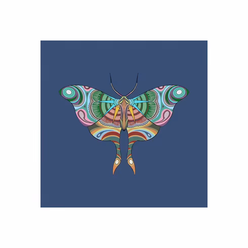 The Moth Experiment #8