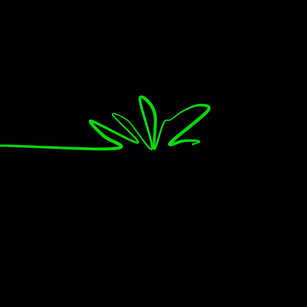 Snail