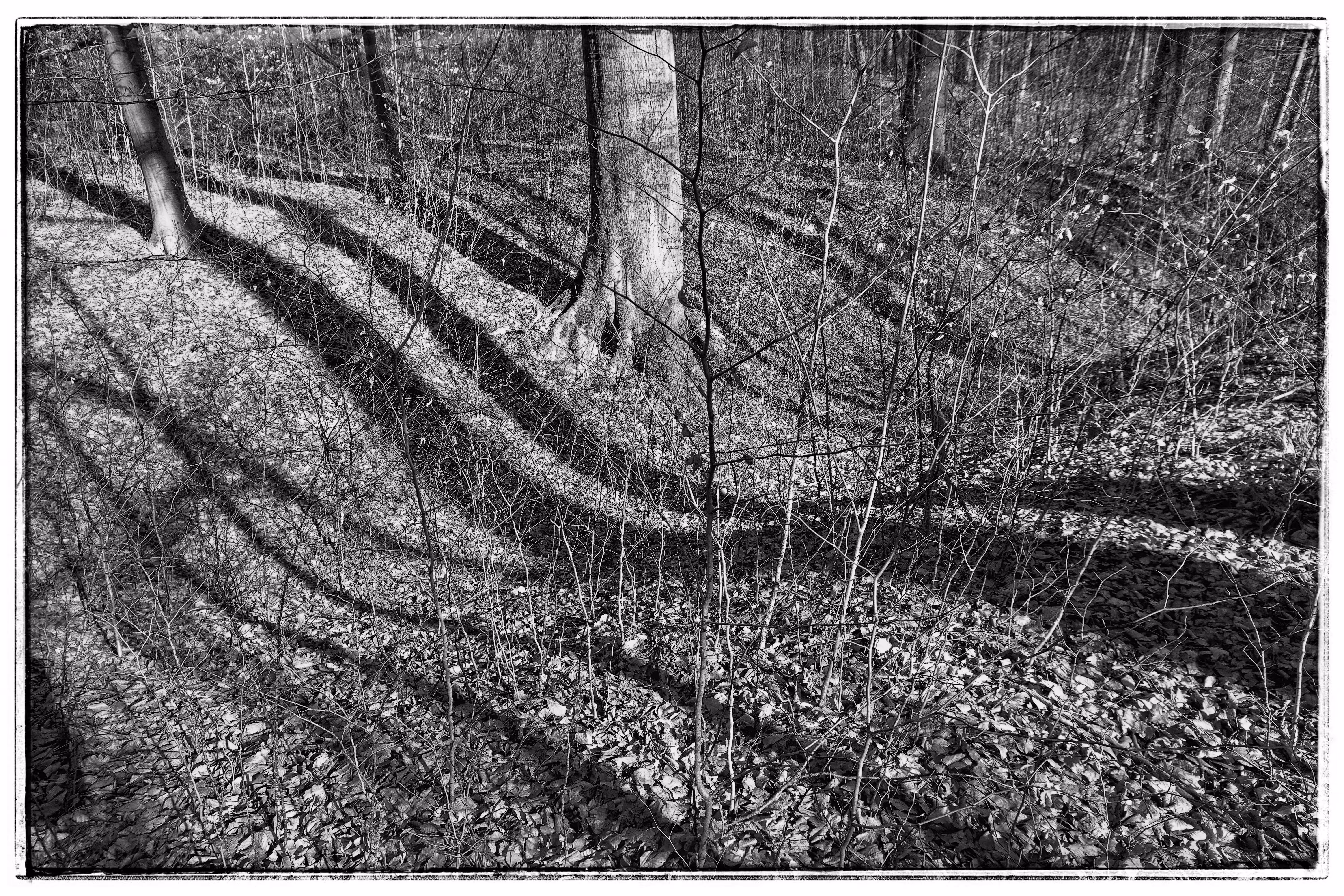 wavy shadow