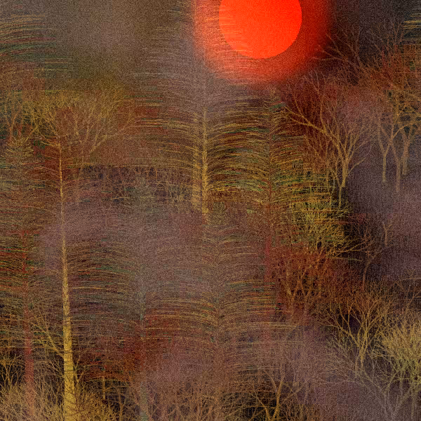 Moonlit Native Bush #66