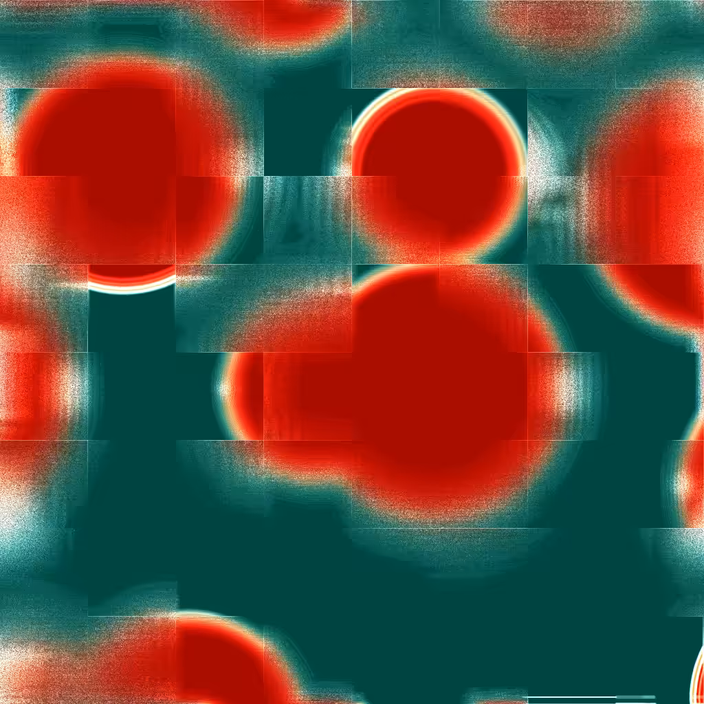 Bacterias #39
