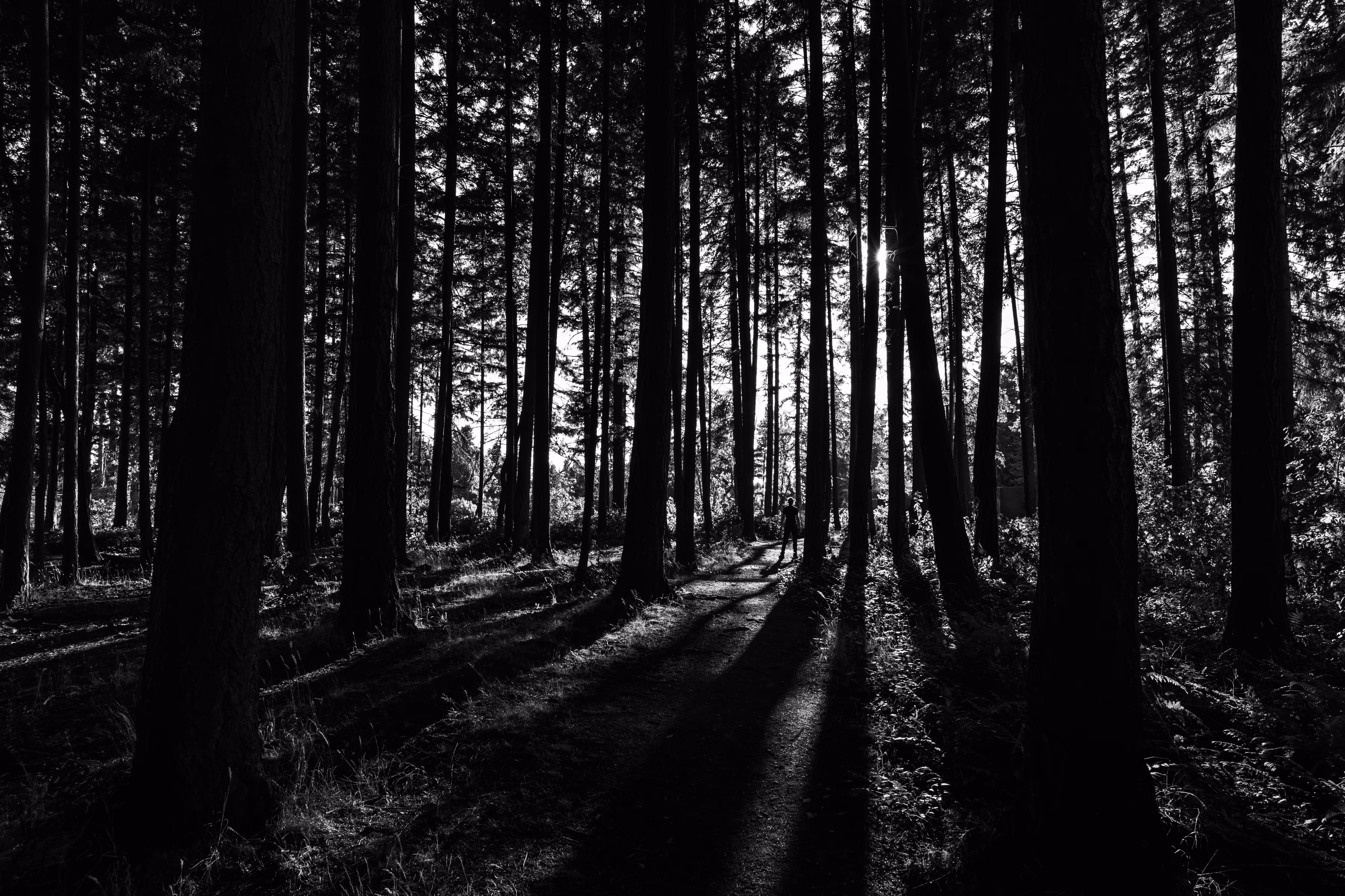 Foreboding Lurker