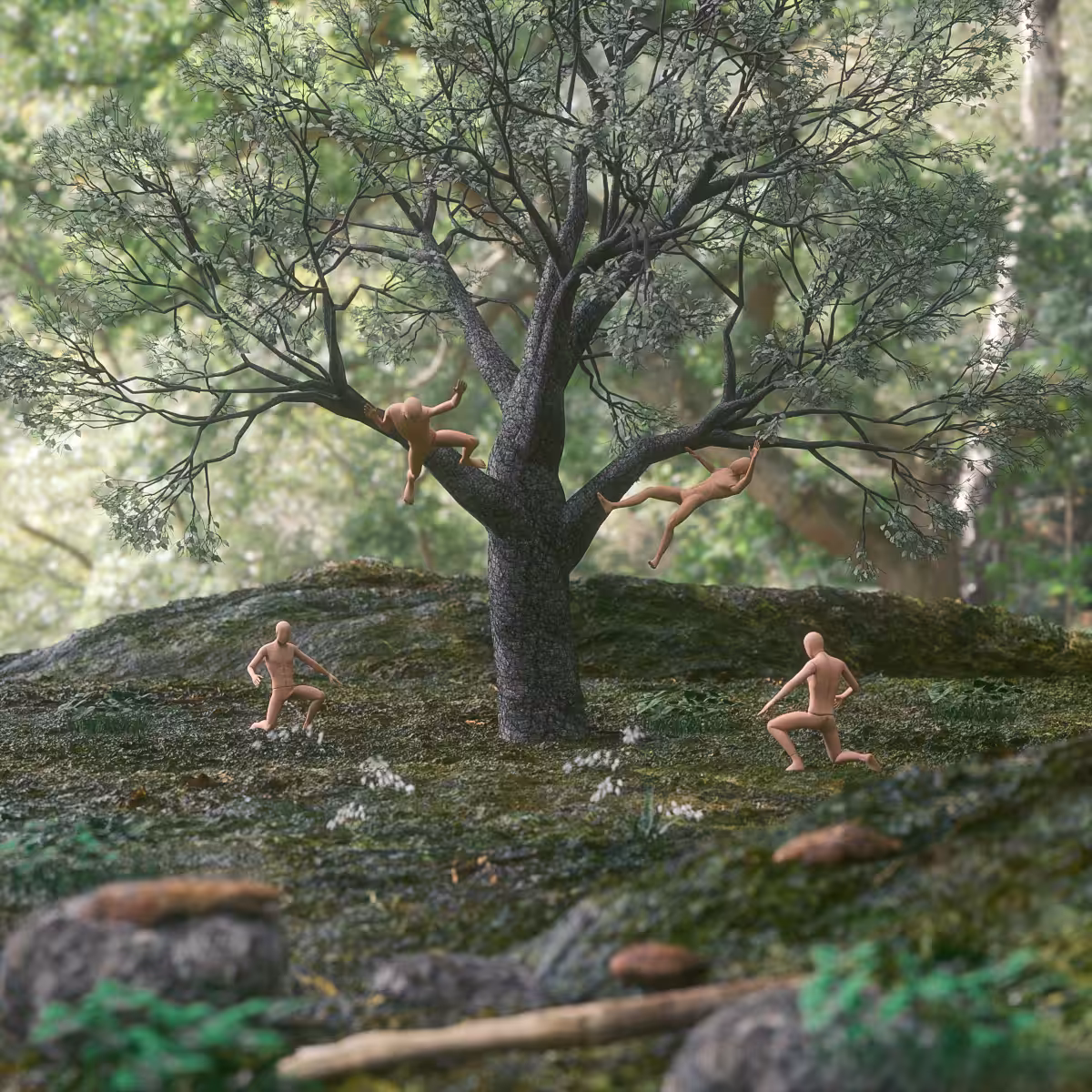 Sorry, Tree II