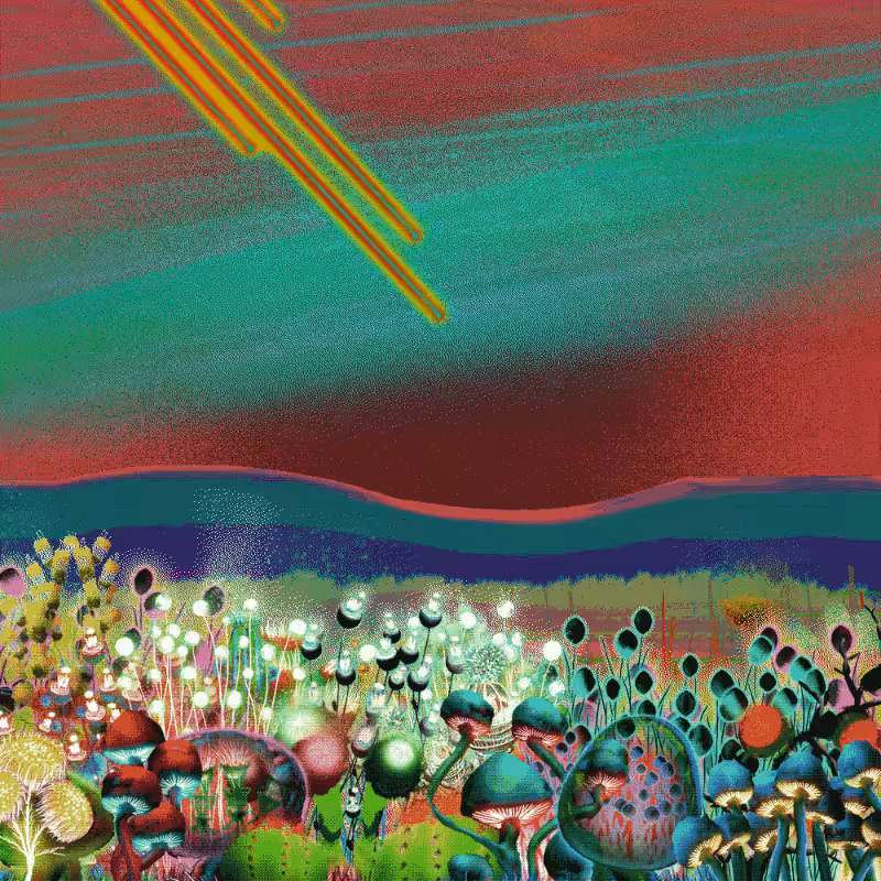 Onablo's Meadow #102