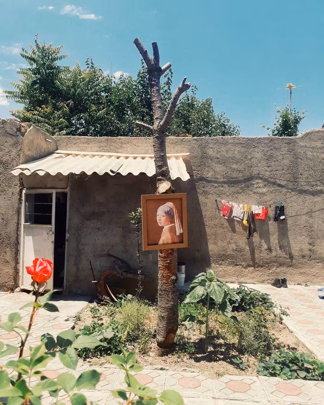 Vermeer in iran