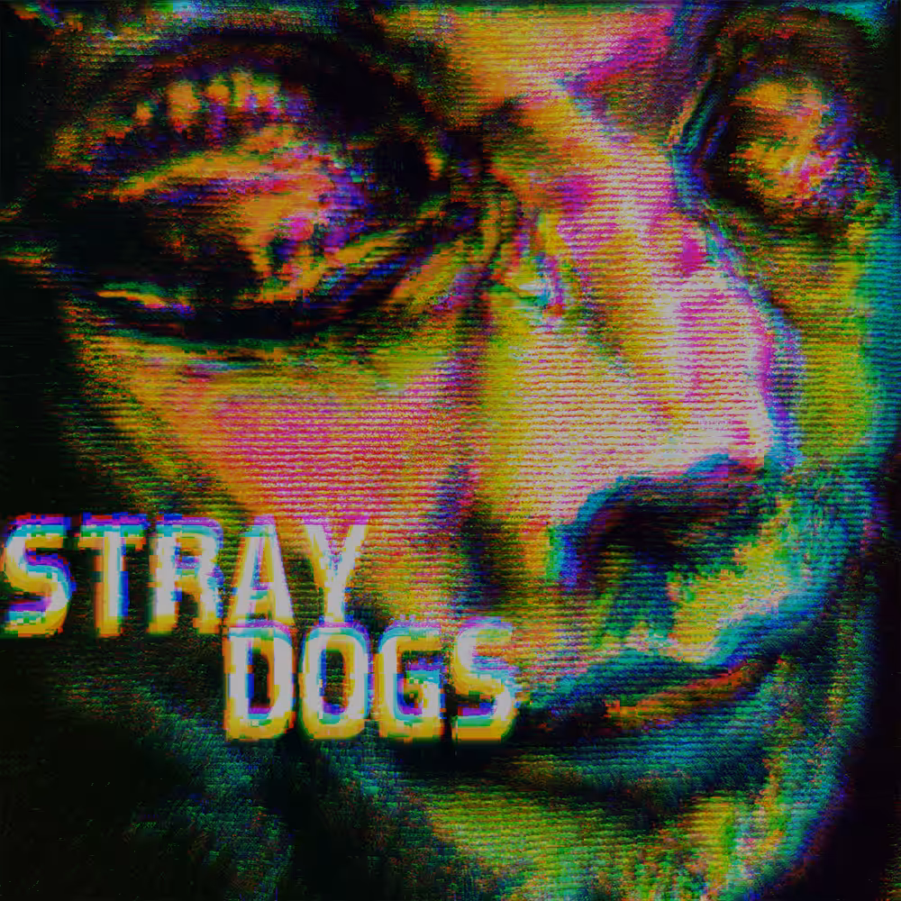 STRAY DOGS