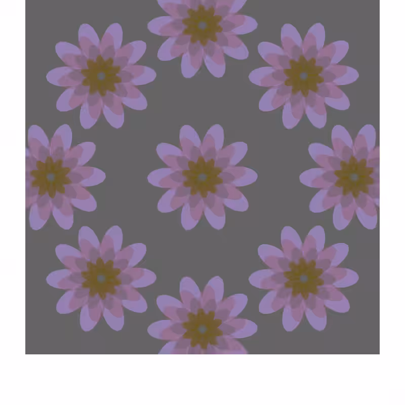 bloom unexpected #5