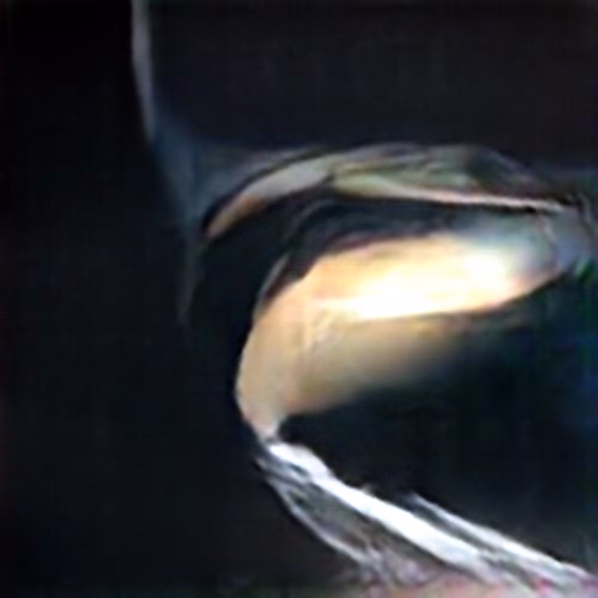 Saturn #2 (Corpus: Spheres of Heaven)