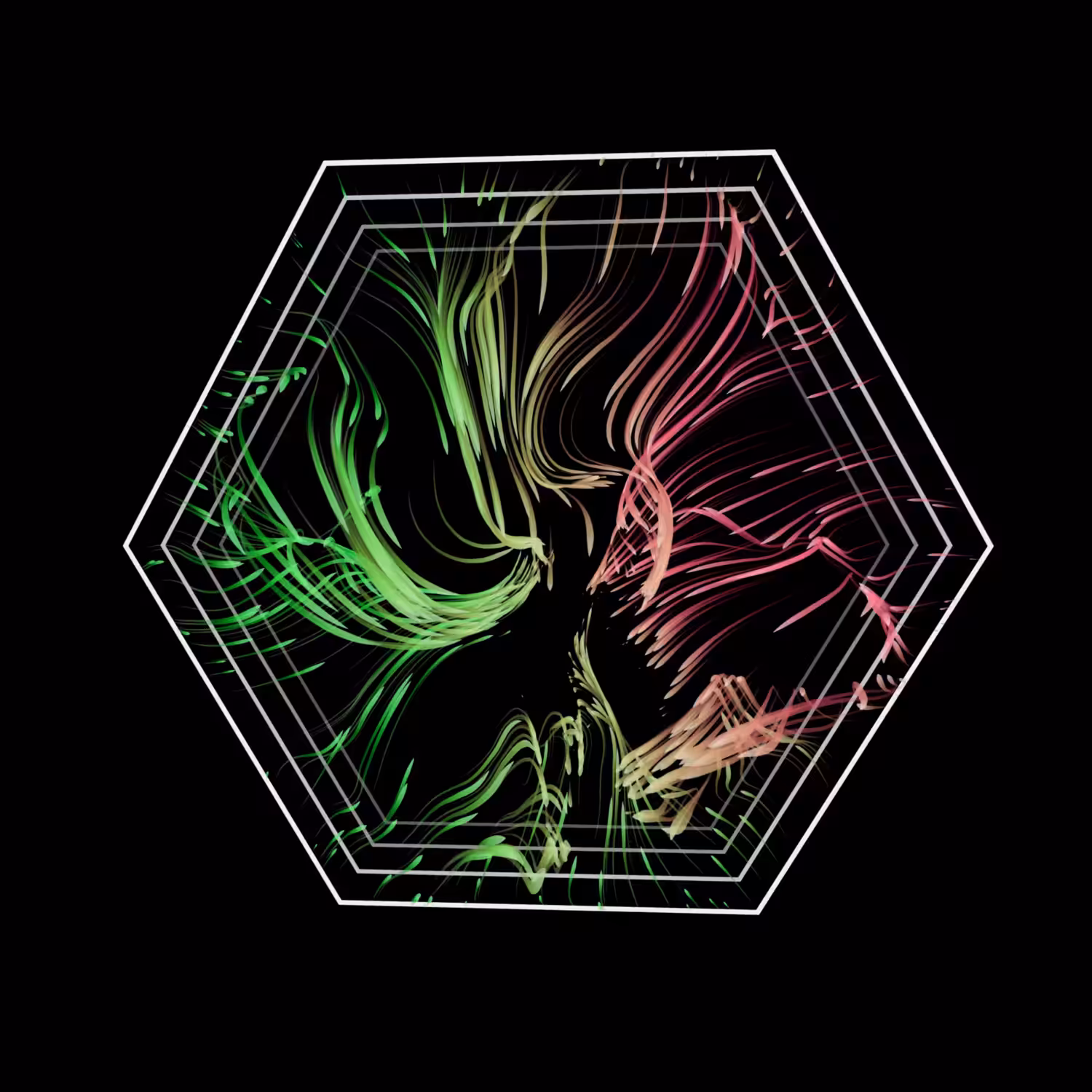 Vortex #1123