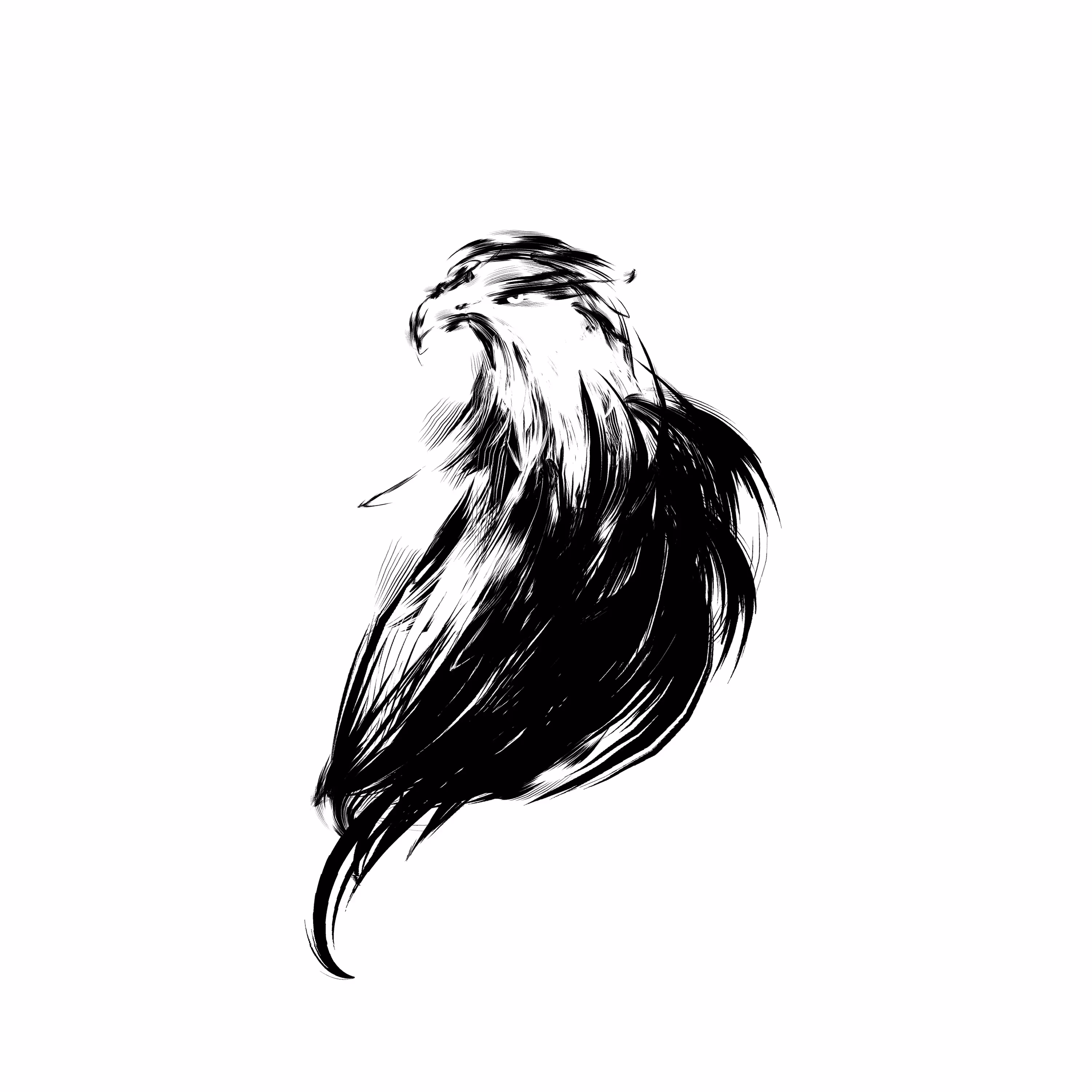 adler