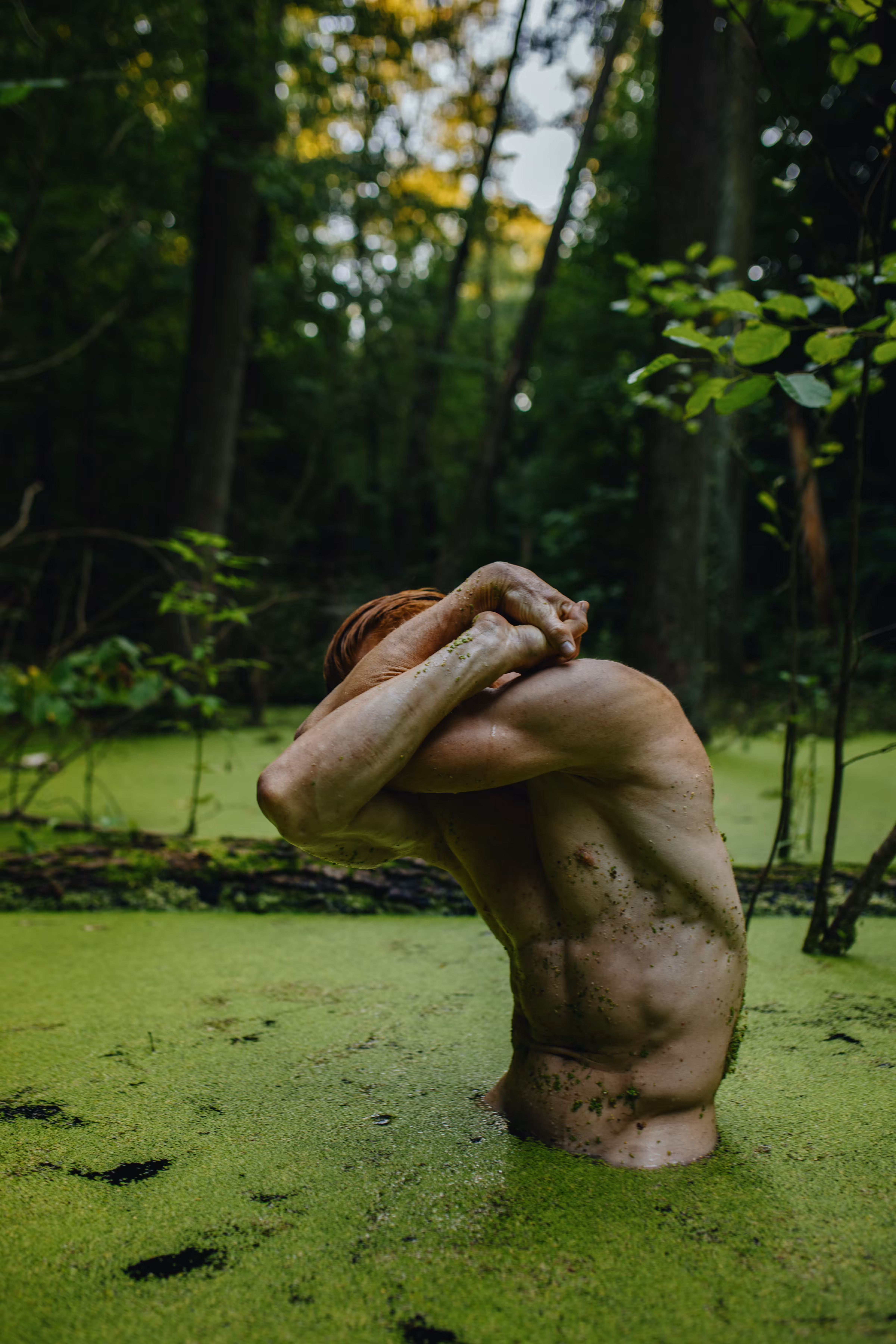 Lost in the Green Abyss