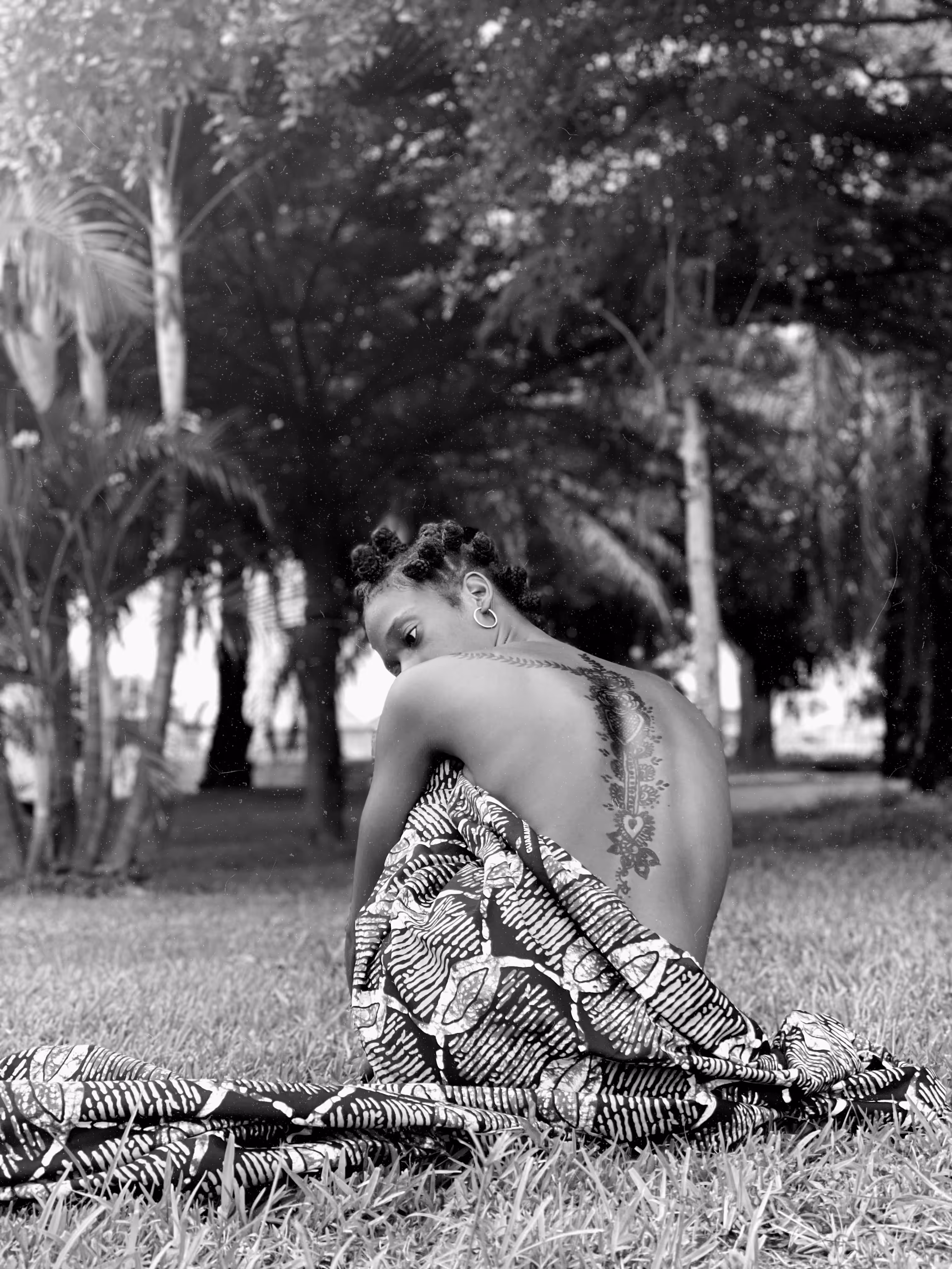 Meadow's Muse