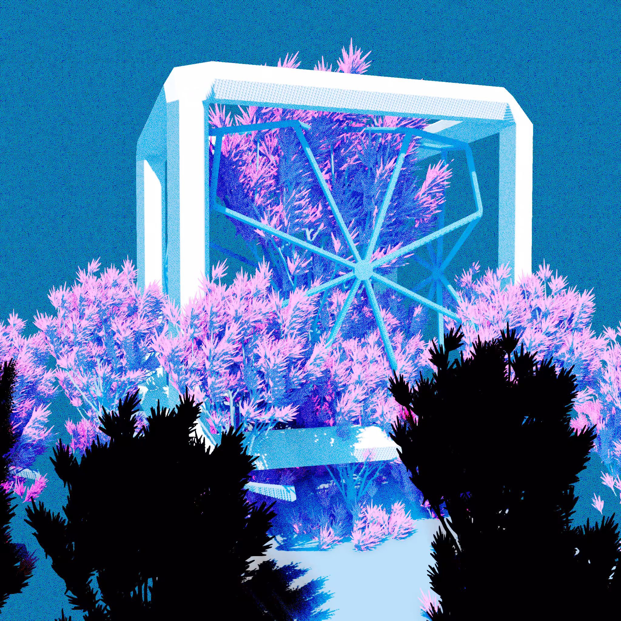 Urban Flora #104