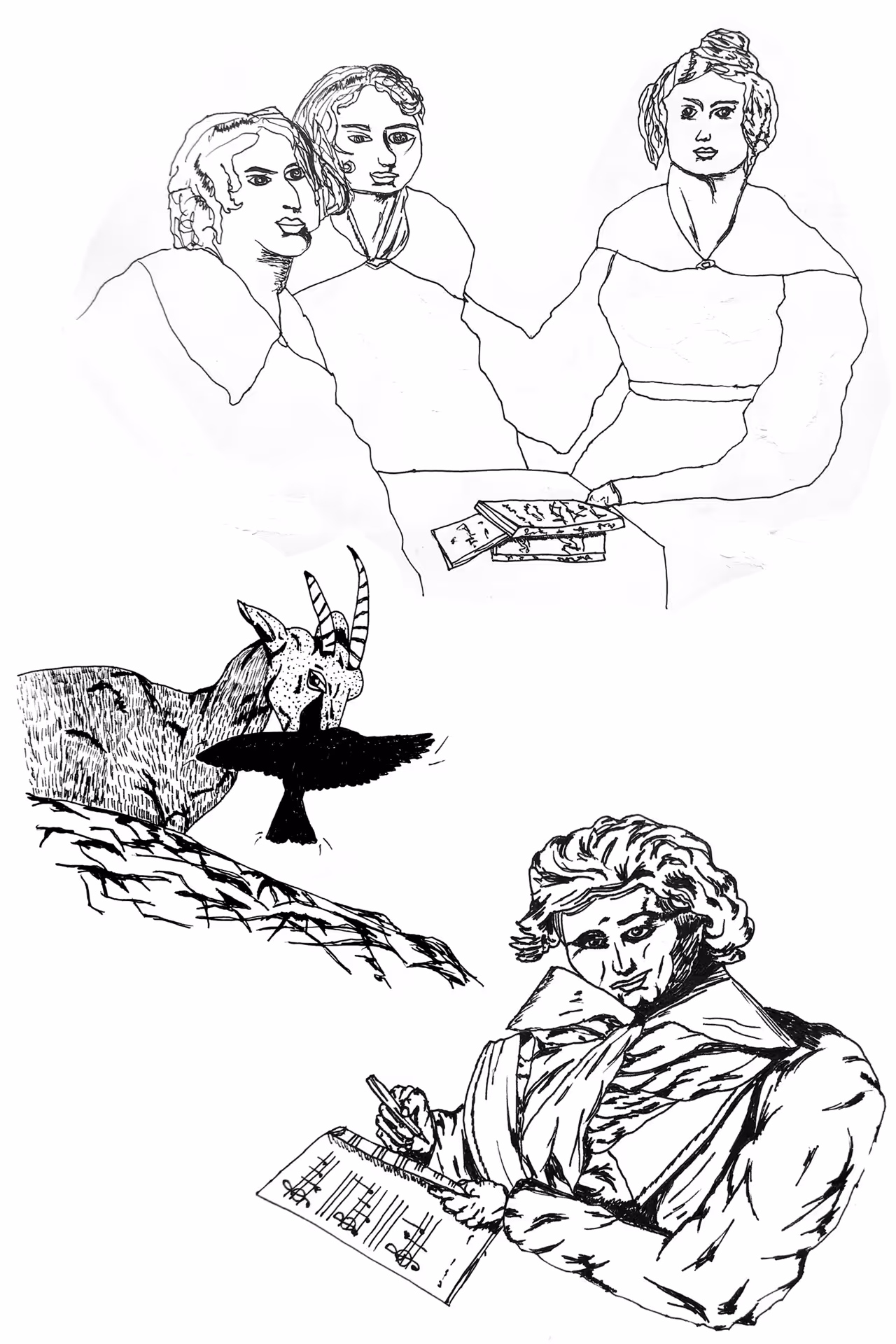 29