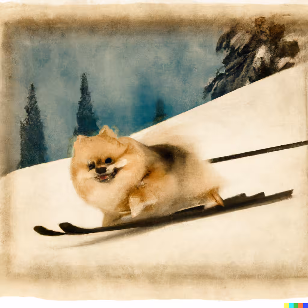 Happy Skiing Pomeranian