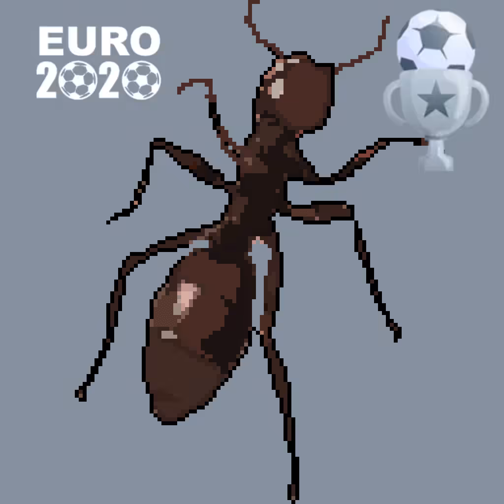 Fvcking Ant - Euro2020 *rare ant*