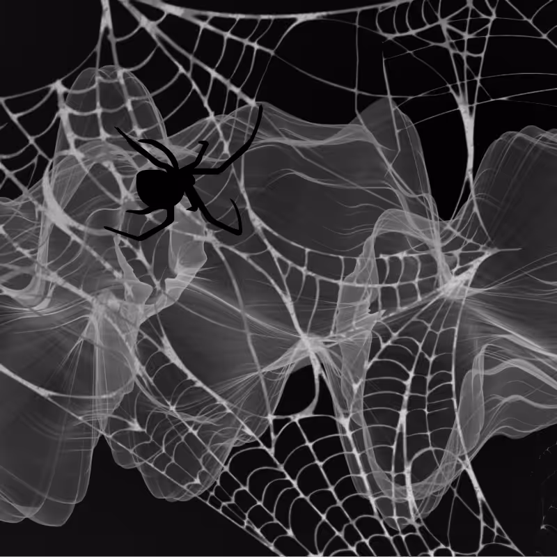 Black Spider #3