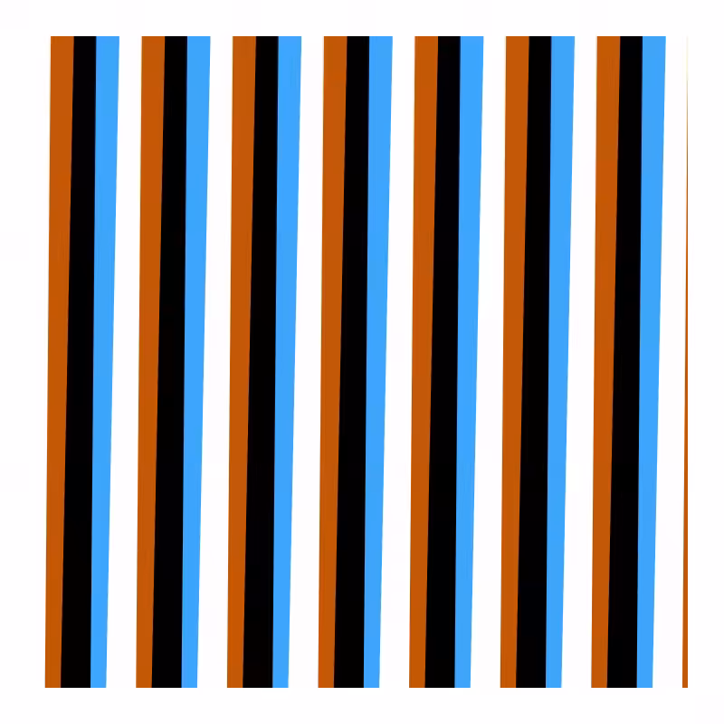 ALL COLORS ARE FANTASTIC #65