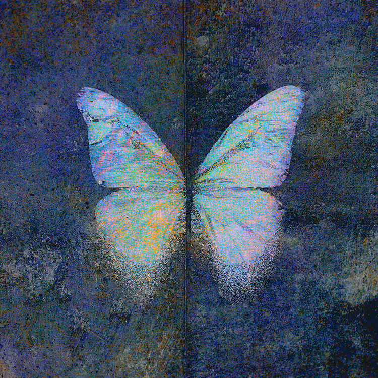 Starfall