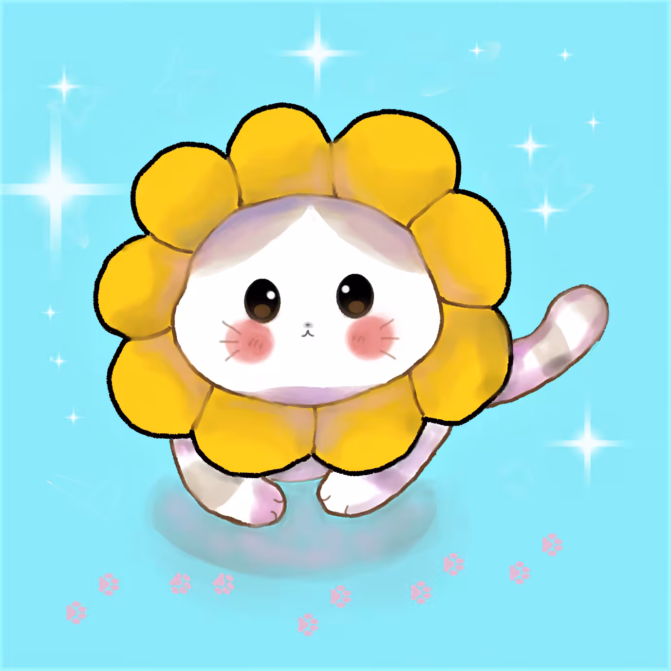 Kitty like sunflower