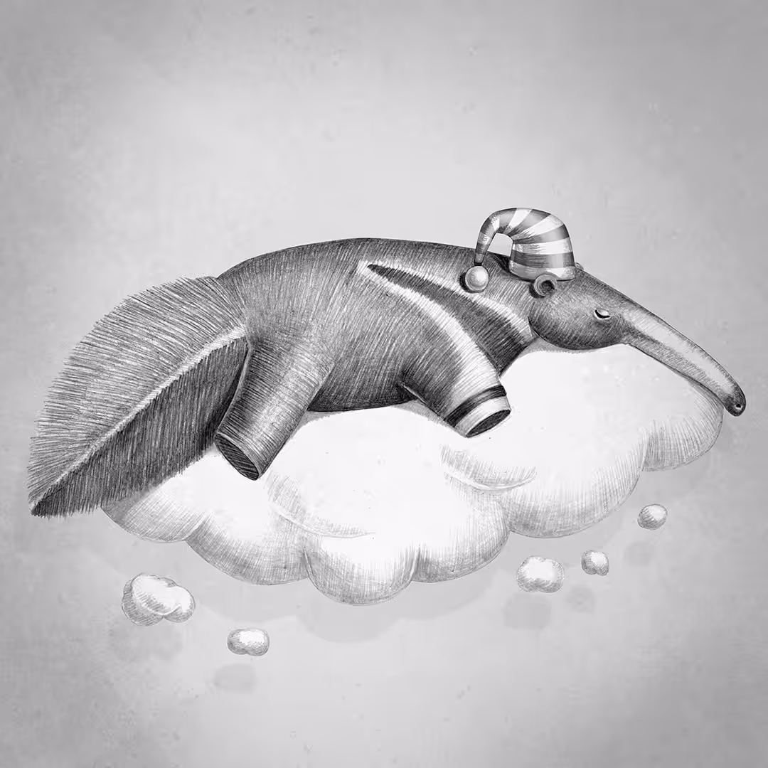 ANTEATER grayscale