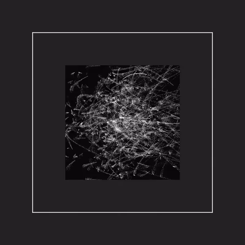 Flux #22