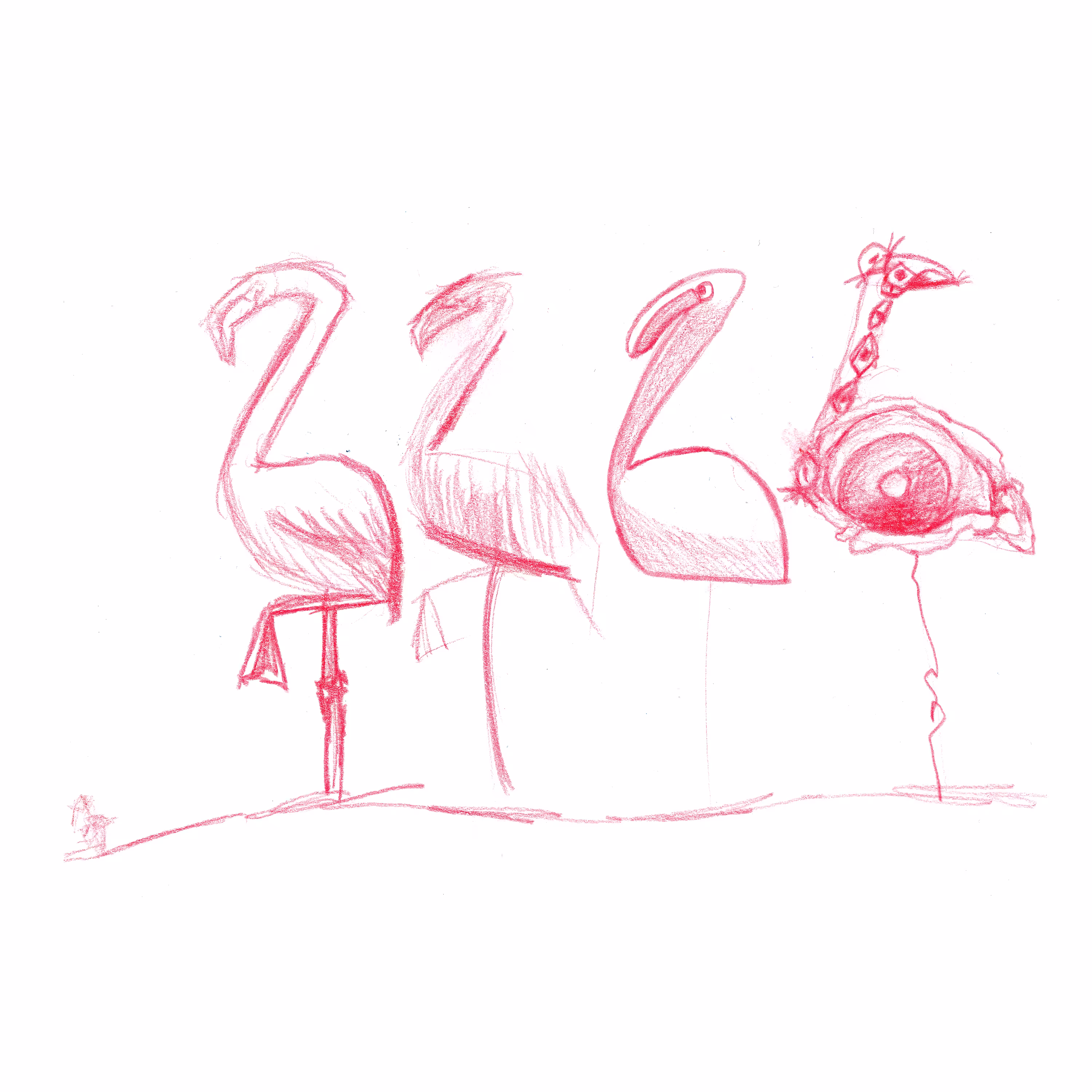 Flamingo Sketch 1 - Hawkward's Sketchbook