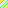 Lime Argyle