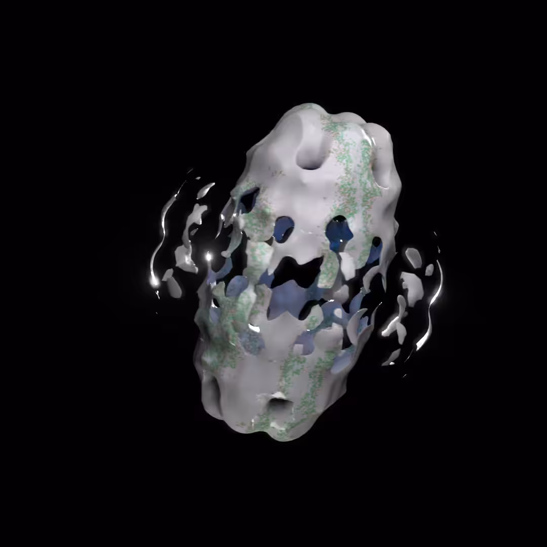 Shape 001