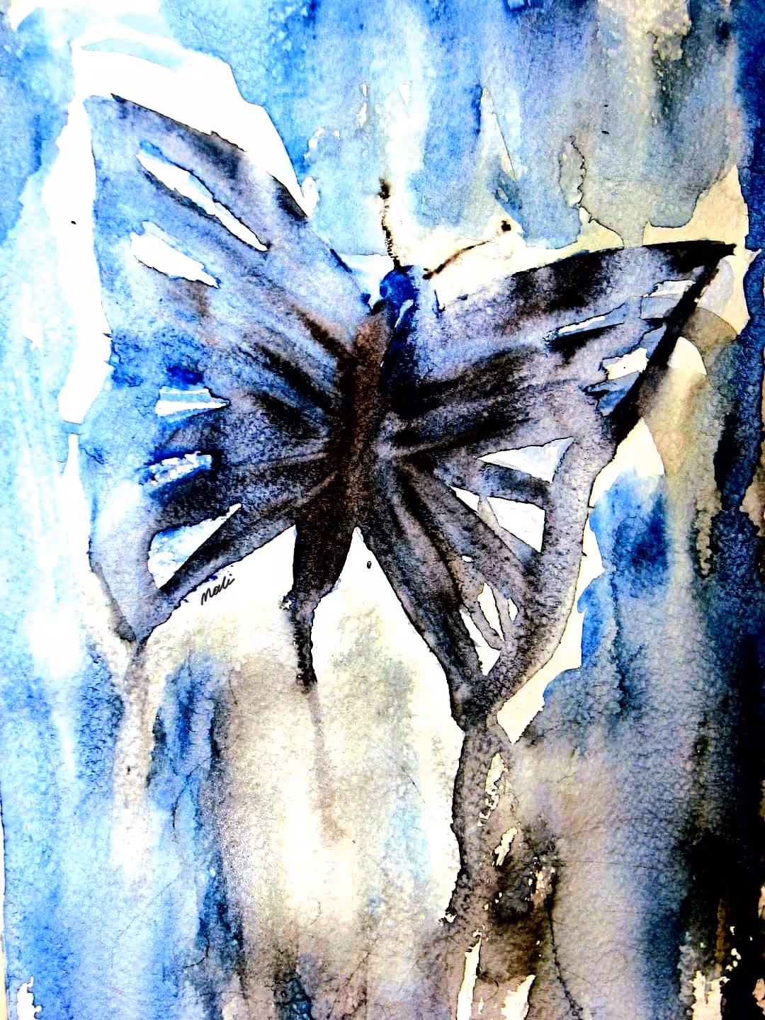 Blue butterfly 🦋 