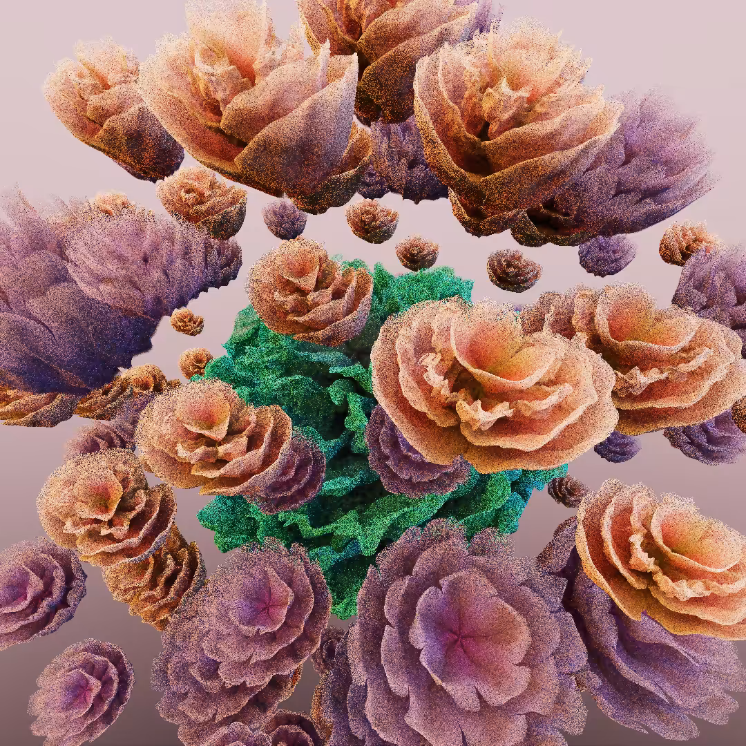 rosarium #127