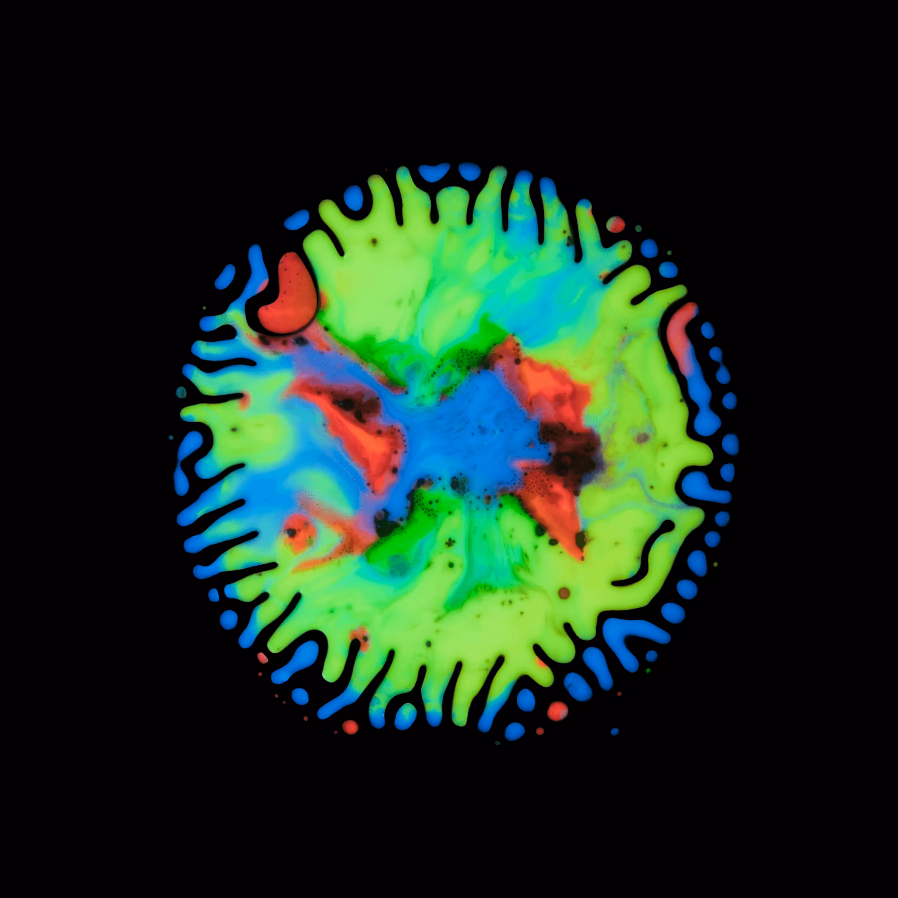 Haematopoiesis #19
