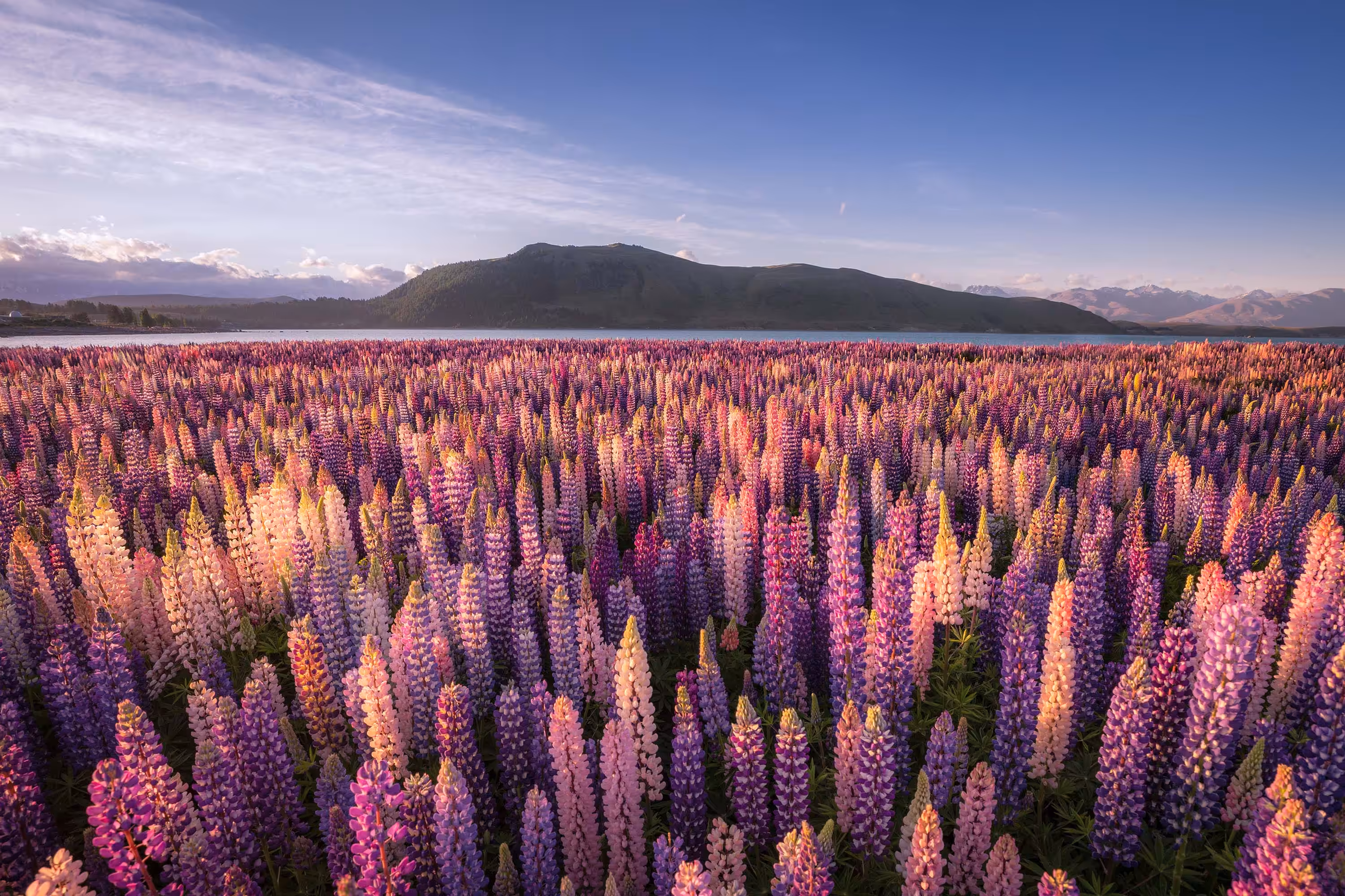 Aotearoa Dreaming - New Zealand Skies #15