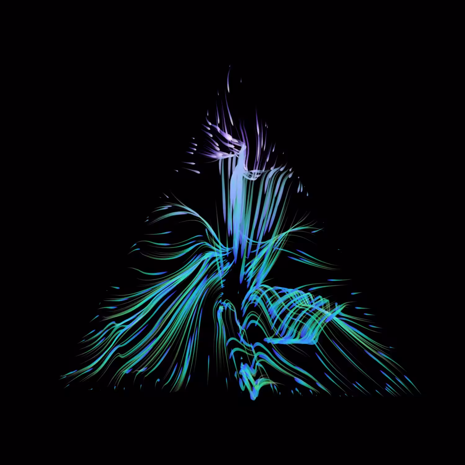 Vortex #881