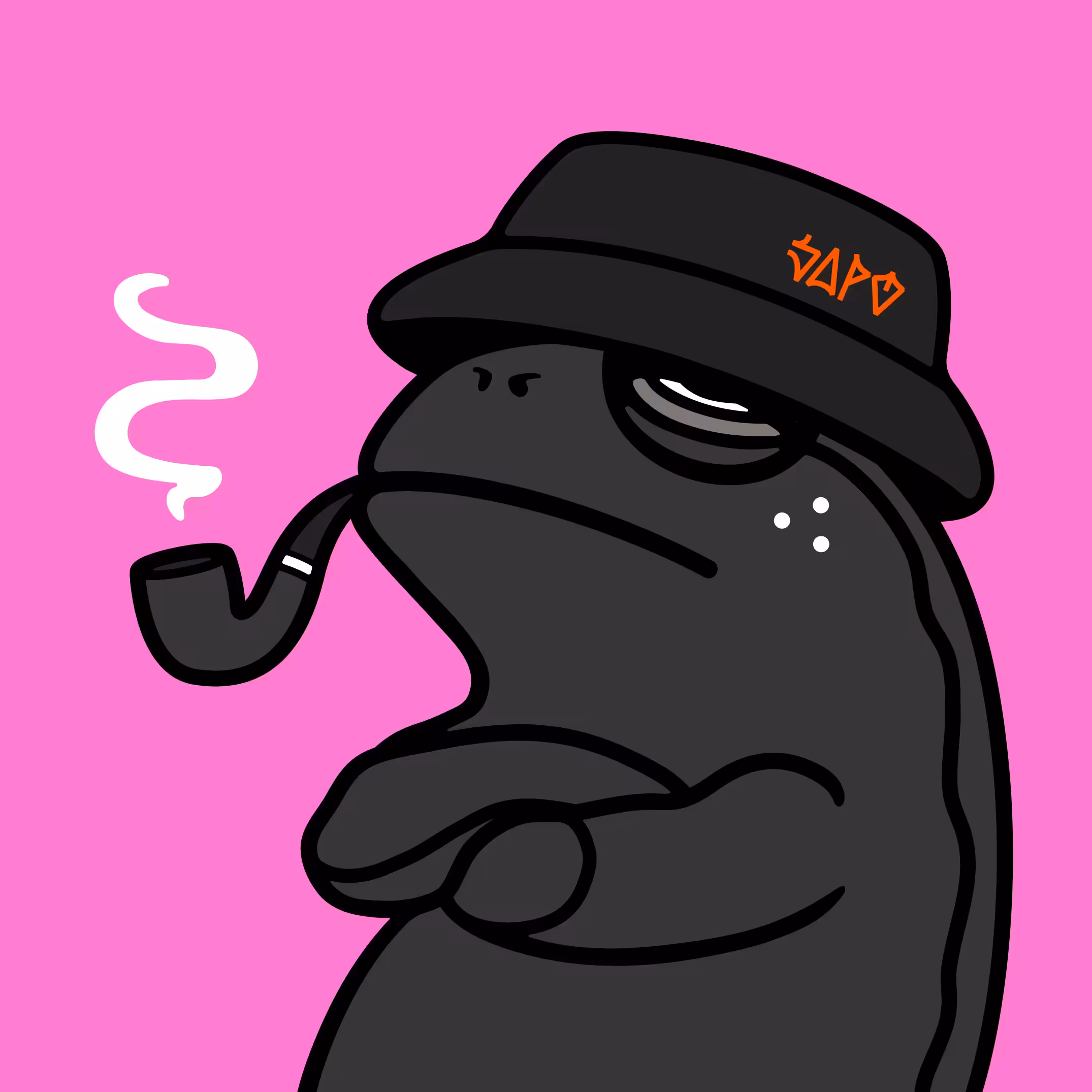 Zé do Pipe