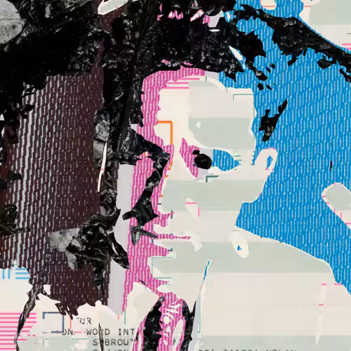 THE GENERATIVE PORTRAIT COLLECTION OF ROBERT MALLARY: Generative Portrait of Robert Mallary #264