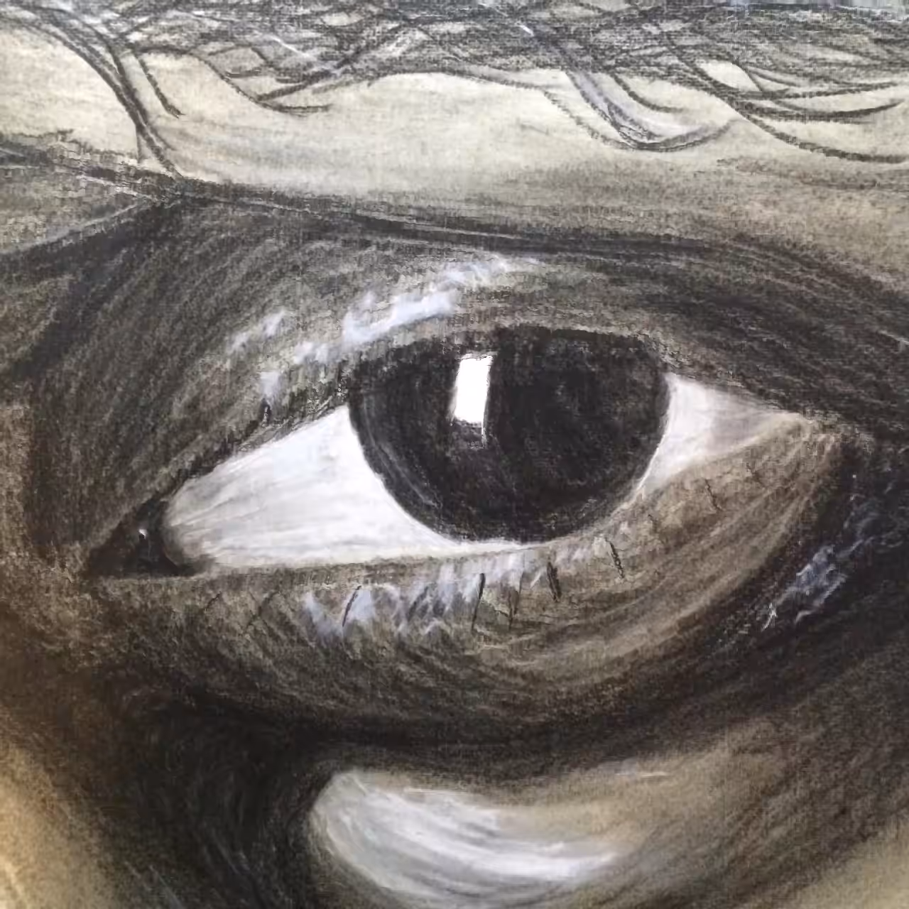 eye of the storm