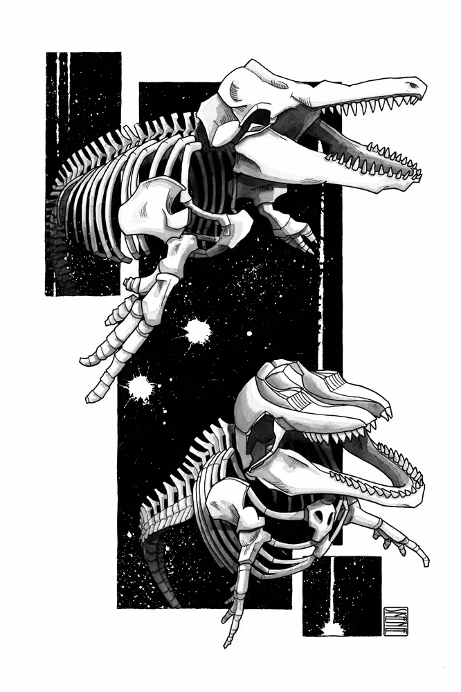 Orca Skeletons Study